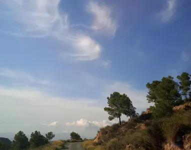 pionono07