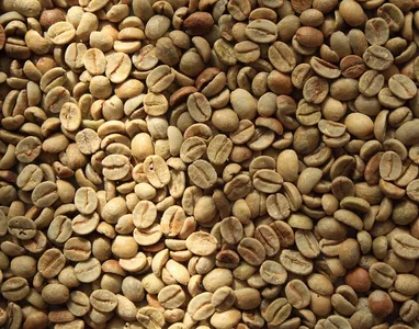 tostadosSoleil3