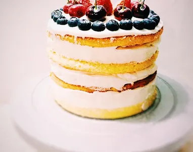 budin-sin-tacc7