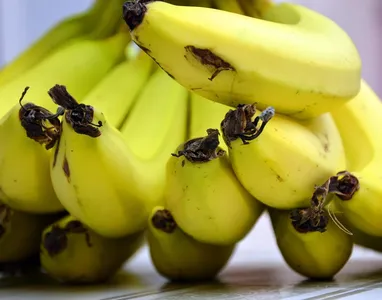 avena-y-banana7